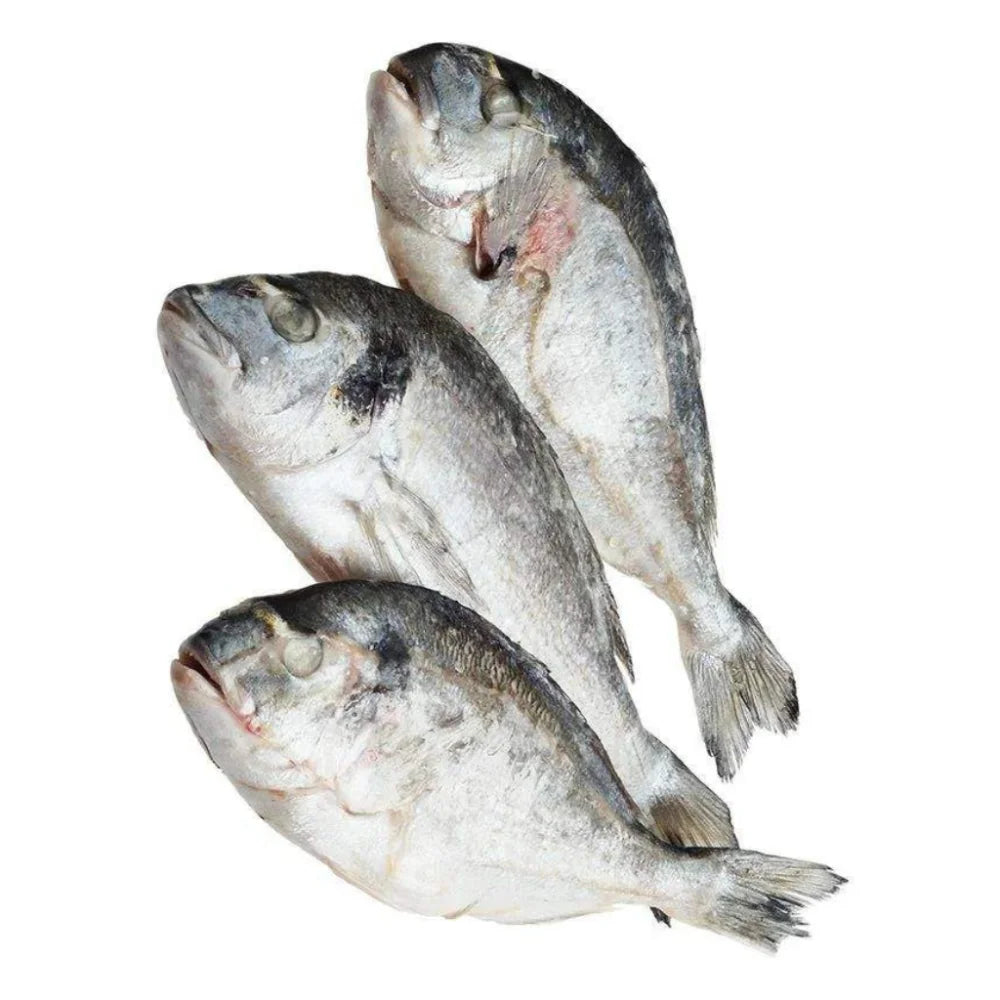 331c2c1cb9af01f9e07fce91ed9f4a8e