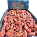 86f195b1783a61c22485ab2d177a3457