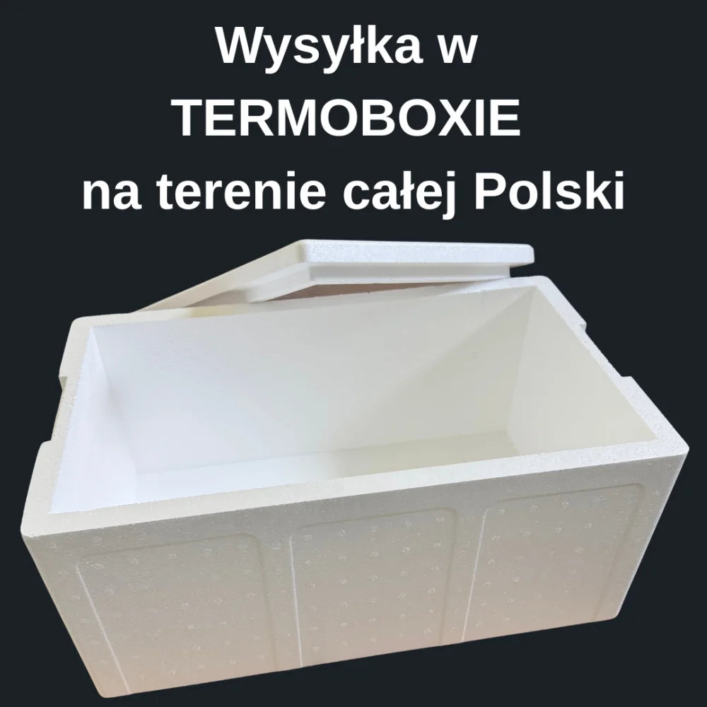 0c43819144695f9758ecc02068953668