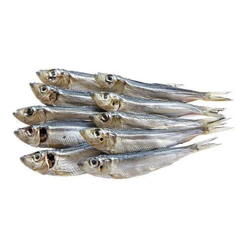 fcb91f8563ef7afa502546027d8e7c61 Główne zdjęcie produktu